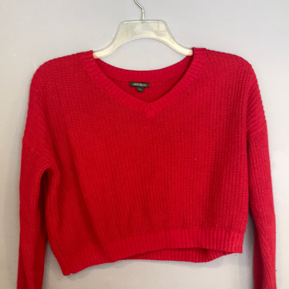 Wild Fable Cropped red sweater